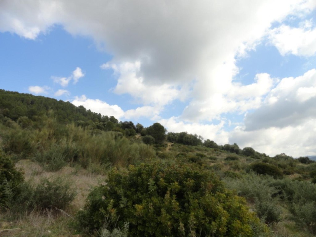 Commercial Property, For Sale