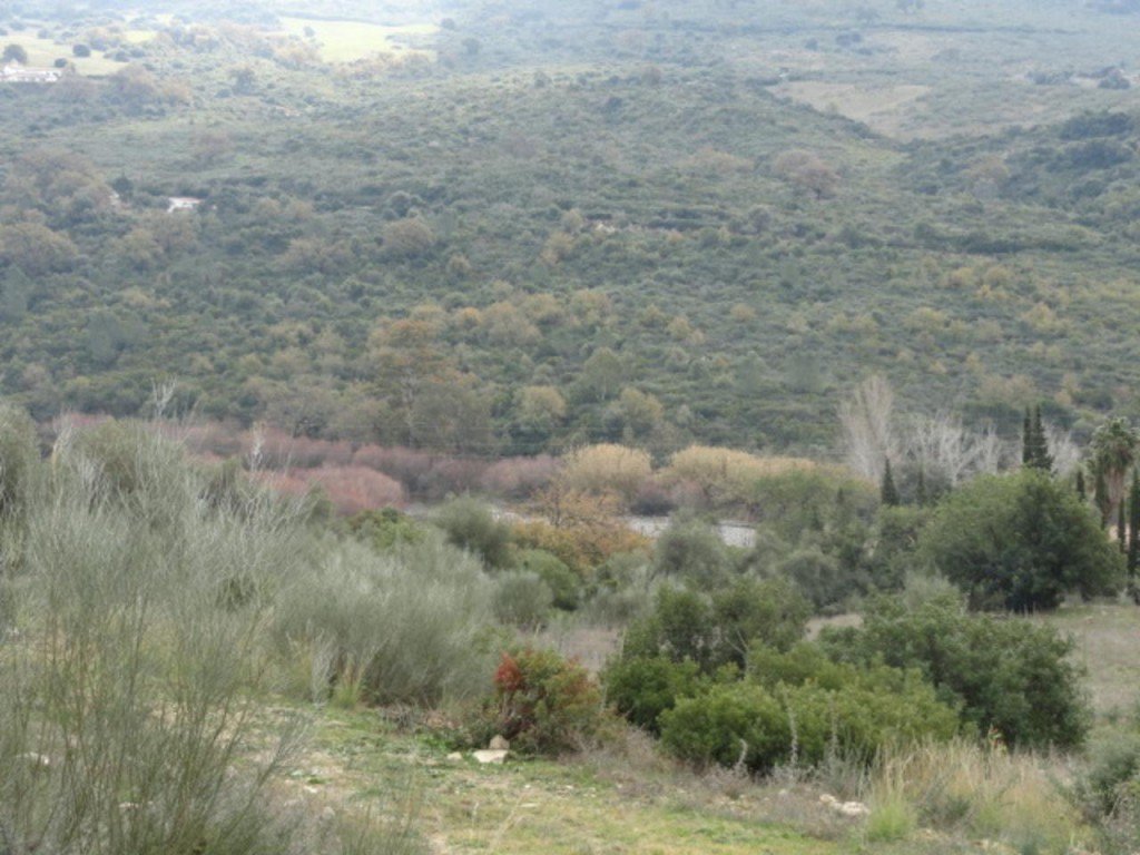 Commercial Property, For Sale