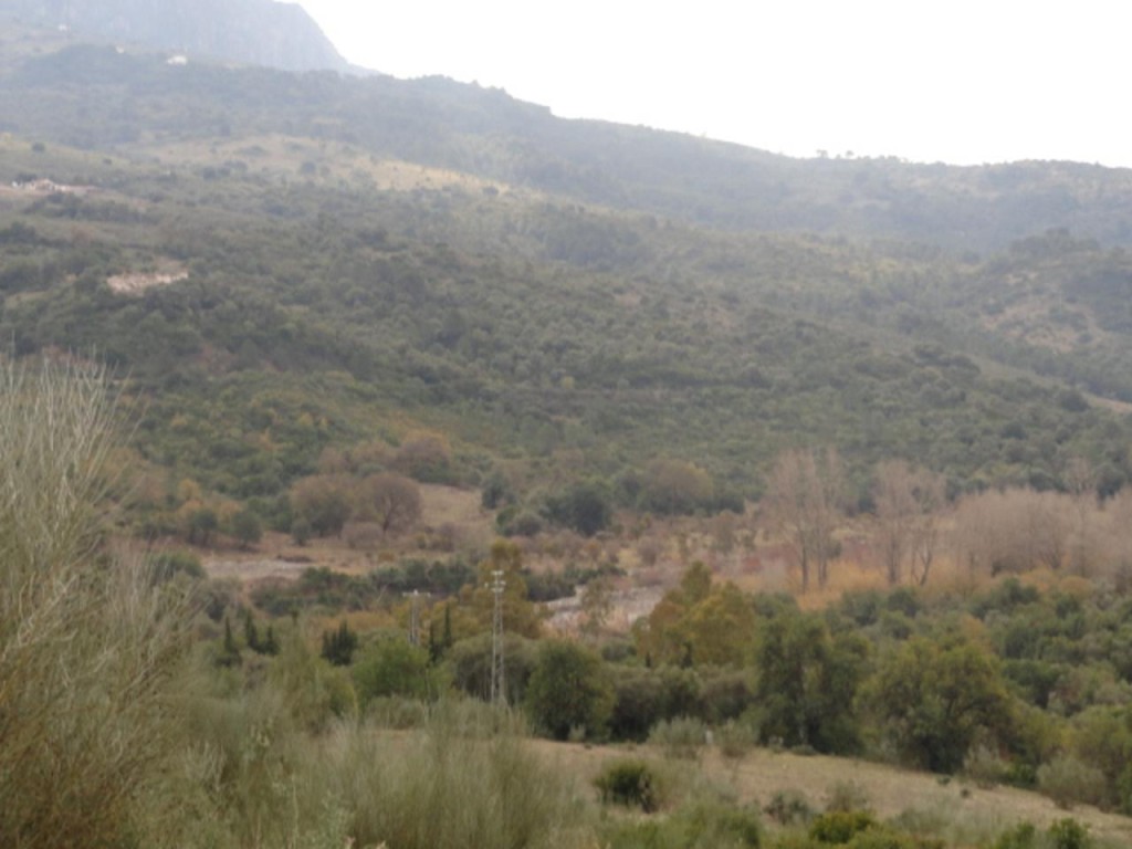 Commercial Property, For Sale