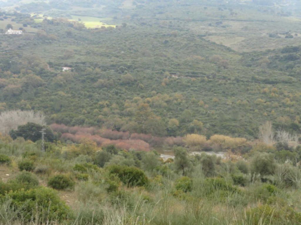 Commercial Property, For Sale