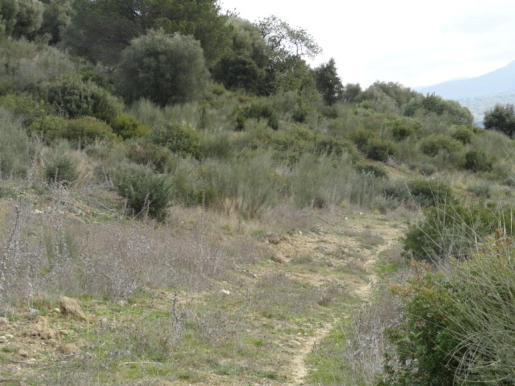 Commercial Property, For Sale