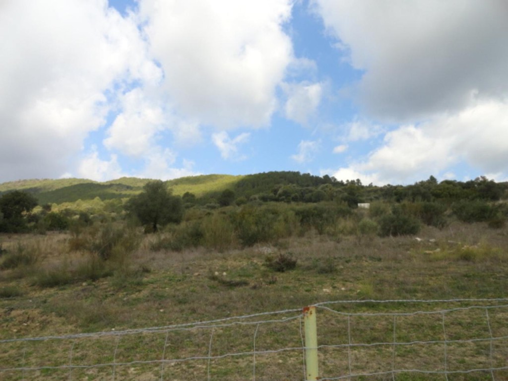 Commercial Property, For Sale