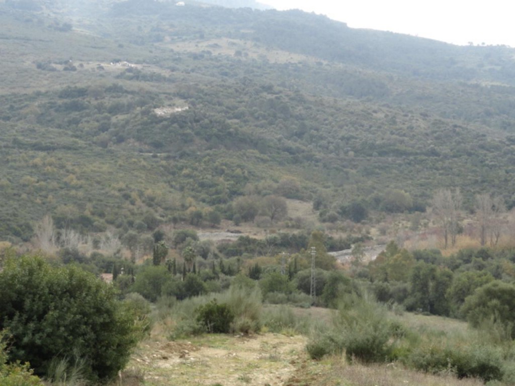 Commercial Property, For Sale