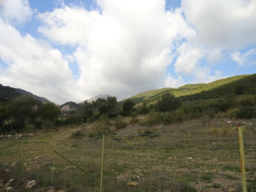 Commercial Property, For Sale