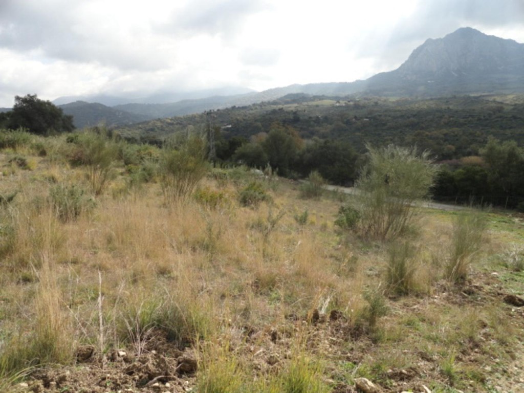 Commercial Property, For Sale