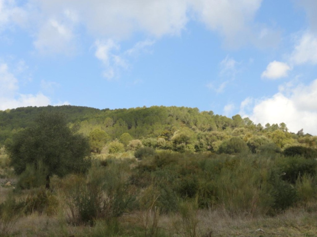 Commercial Property, For Sale