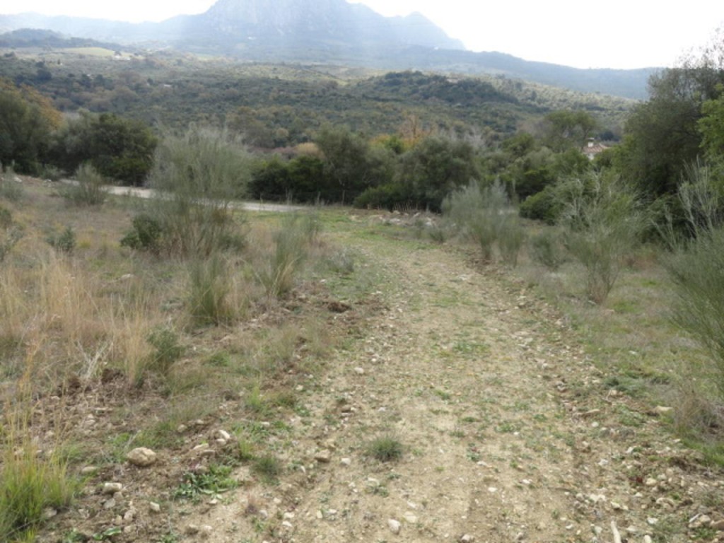 Commercial Property, For Sale