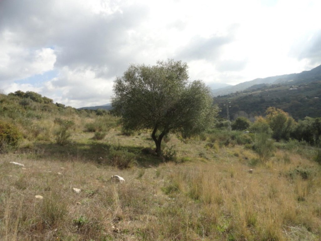 Commercial Property, For Sale