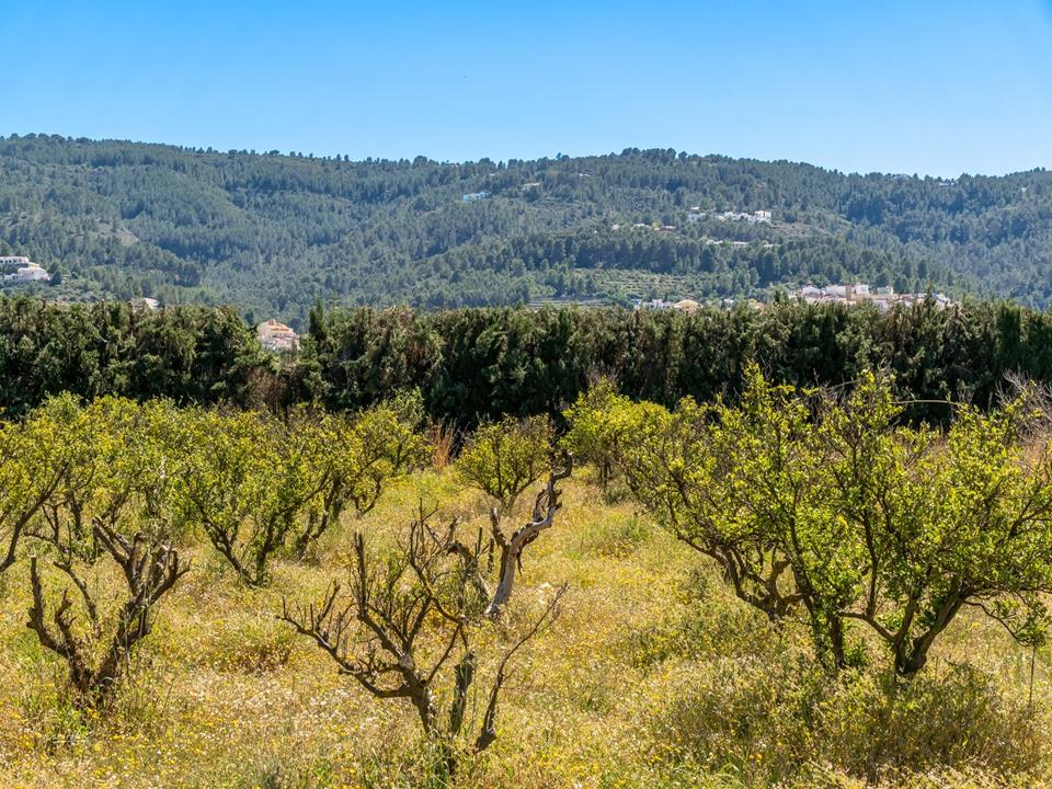 5 Bed, 5 Bath, HouseFor Sale, Benidoleig, Alicante