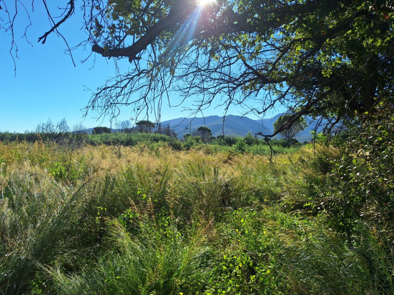 2 Bed, HouseFor Sale, Saint Andre, Pyrenees-Orientales, Languedoc-Roussillon, 66690