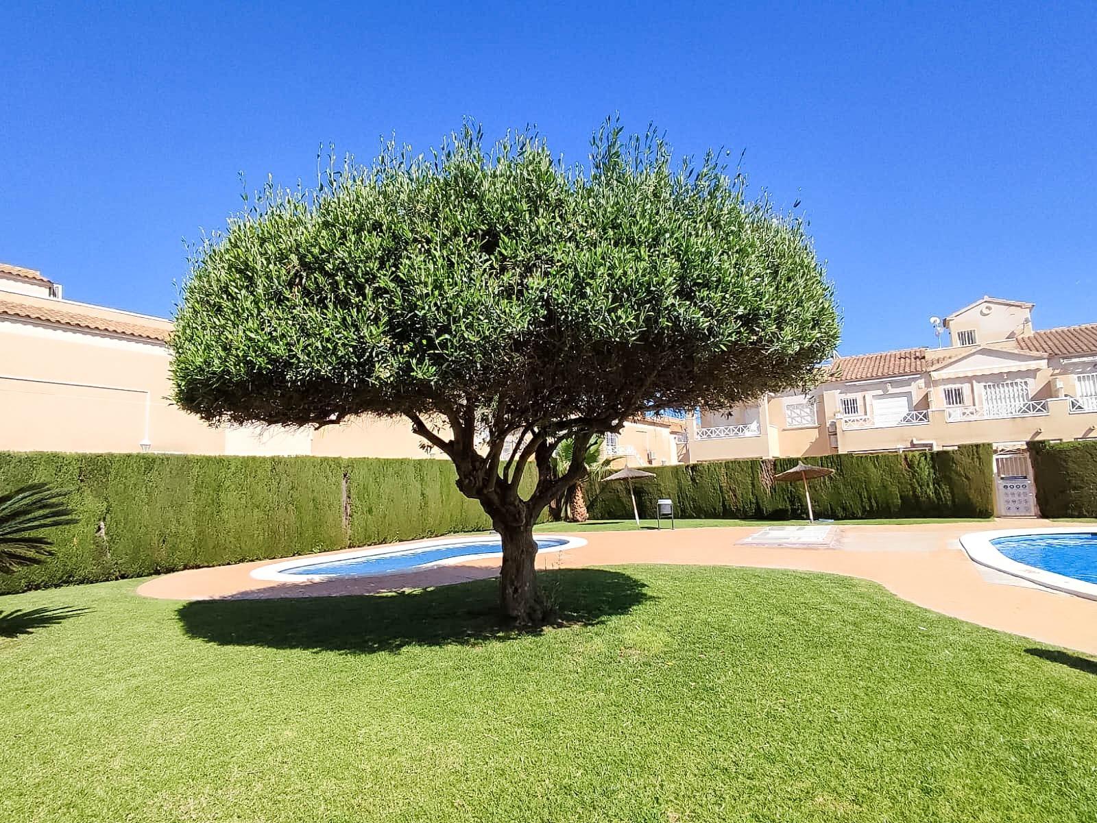 2 Bed, 1 Bath, HouseFor Sale, Torrevieja, Alicante