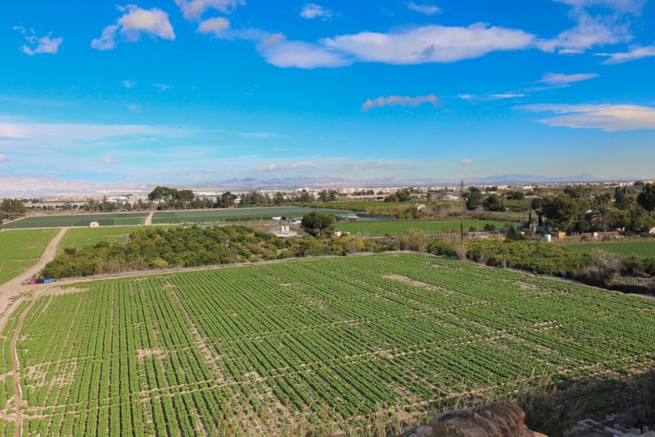 1 Bed, 1 Bath, ApartmentFor Sale, Algorfa, Alicante