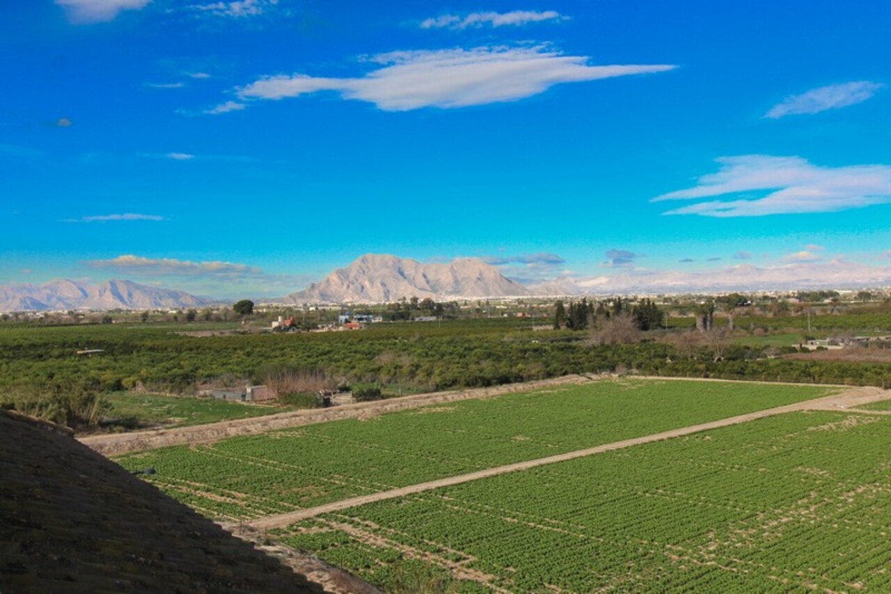 1 Bed, 1 Bath, ApartmentFor Sale, Algorfa, Alicante