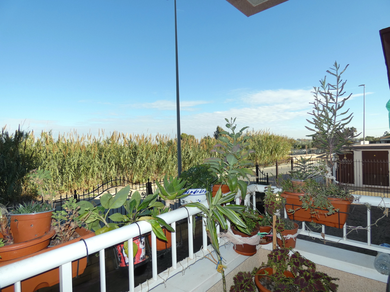 1 Bed, 1 Bath, ApartmentFor Sale, Algorfa, Alicante