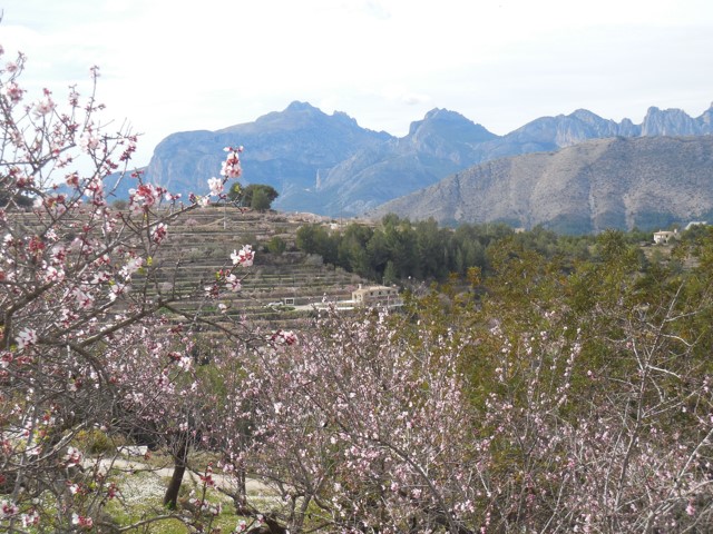 3 Bed, 2 Bath, HouseFor Sale, Tarbena, Alicante