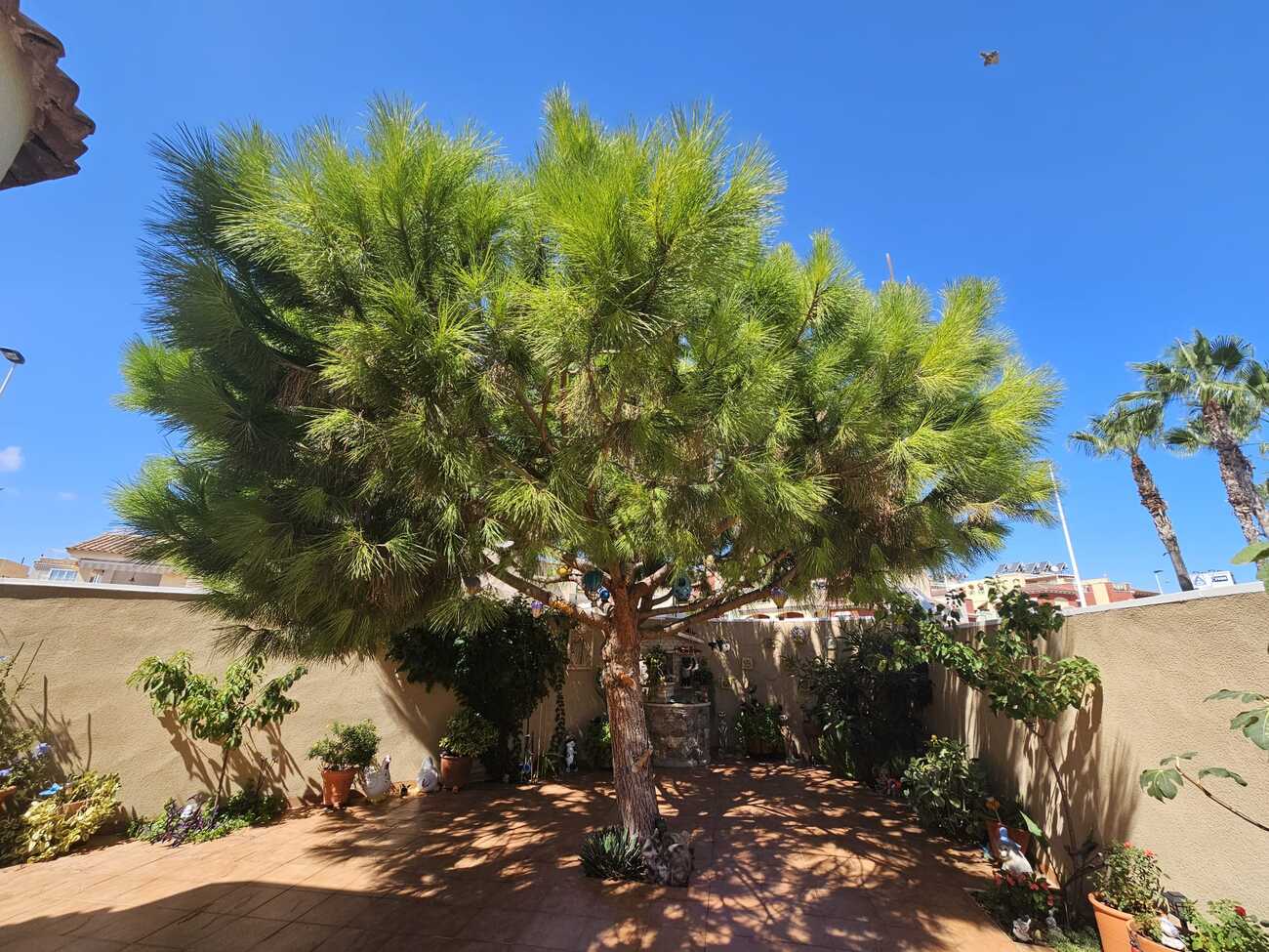 3 Bed, 2 Bath, HouseFor Sale, Torrevieja, Alicante