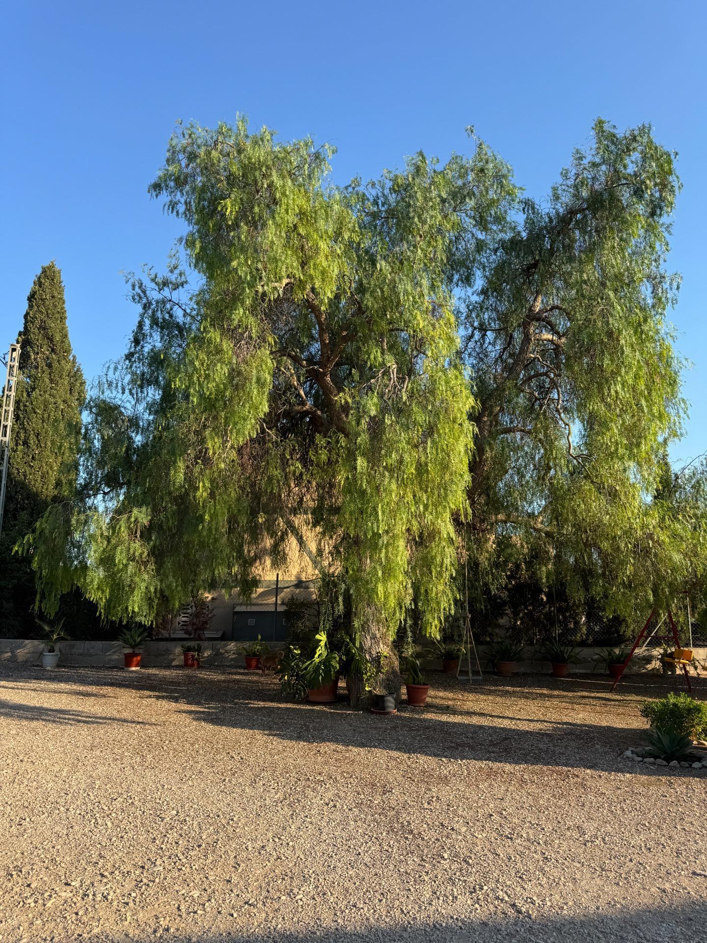 4 Bed, 3 Bath, HouseFor Sale, Albatera, Alicante