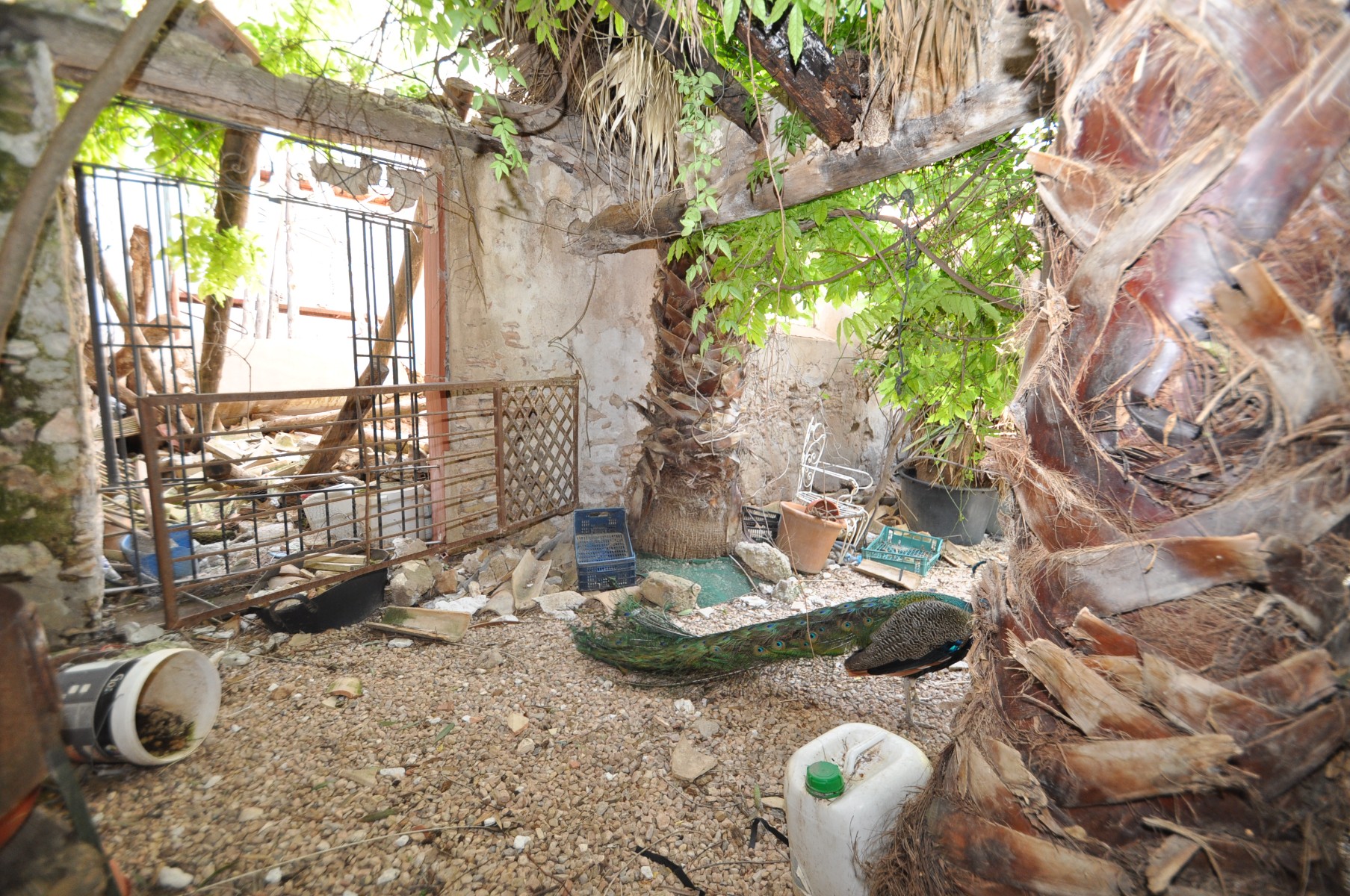 15 Bed, 2 Bath, HouseFor Sale, Yecla, Murcia