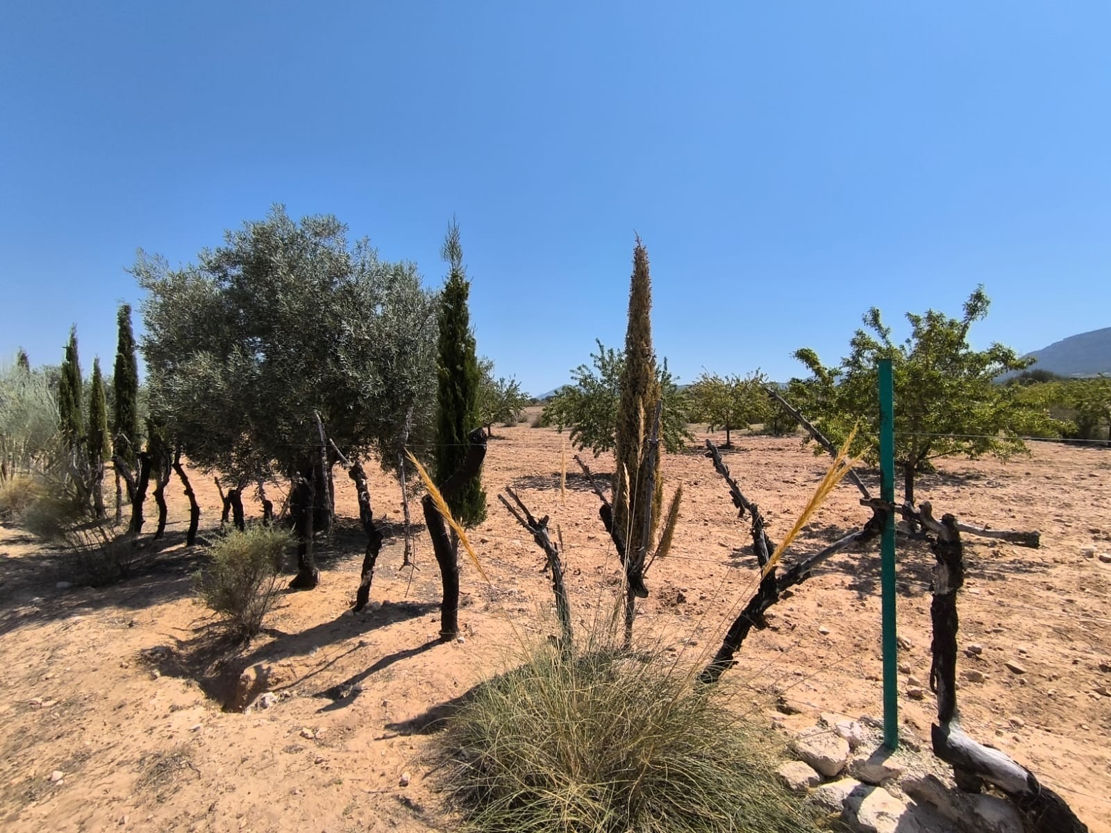 6 Bed, 2 Bath, HouseFor Sale, Villena, Alicante