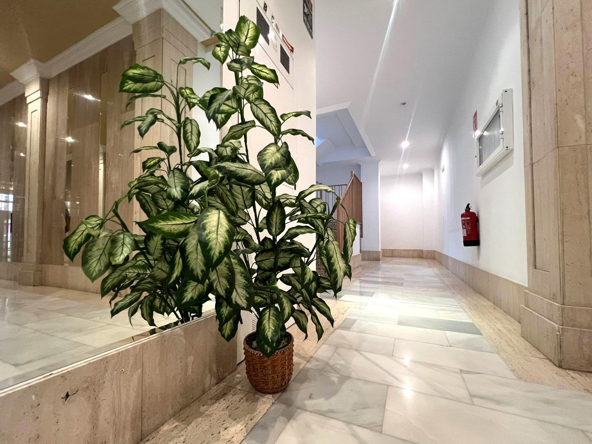 2 Bed, 1 Bath, ApartmentFor Sale, Torrevieja, Alicante