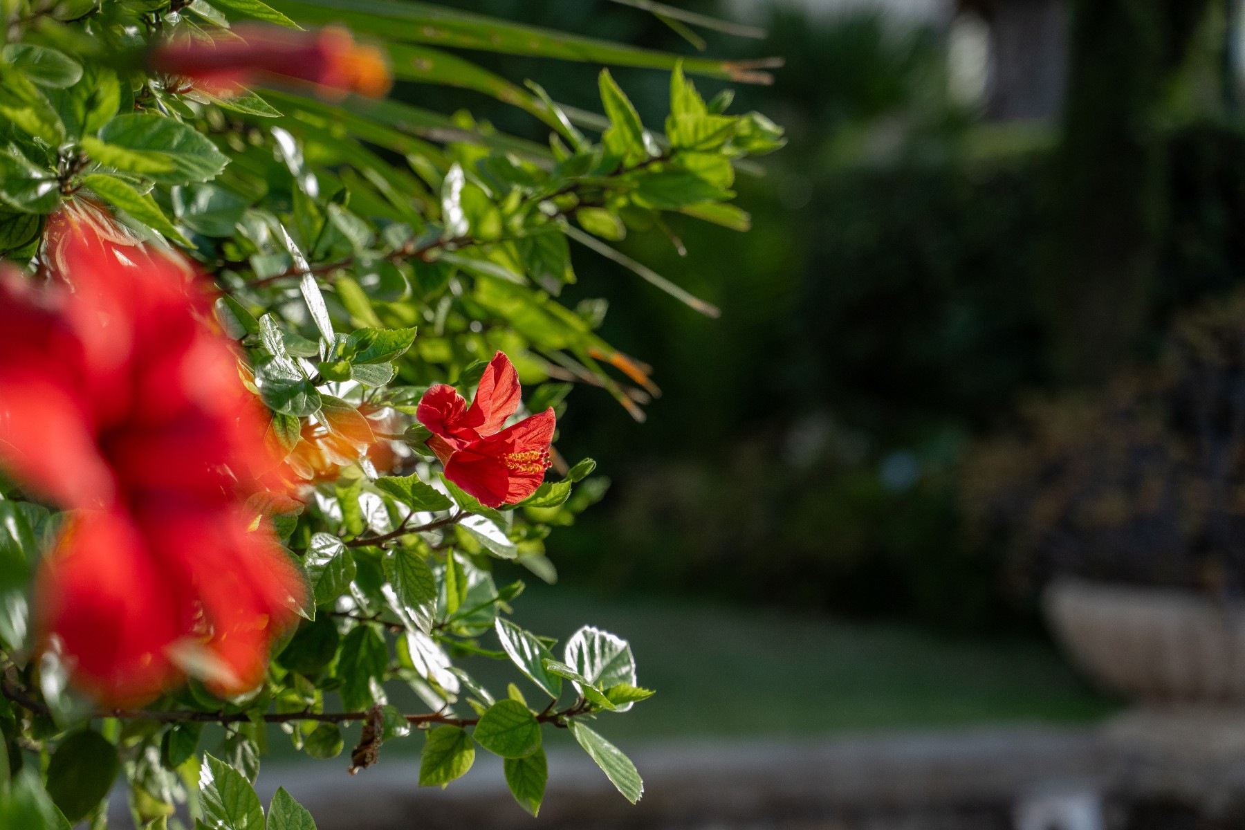 8 Bed, 4 Bath, HouseFor Sale, Alicante, Alicante