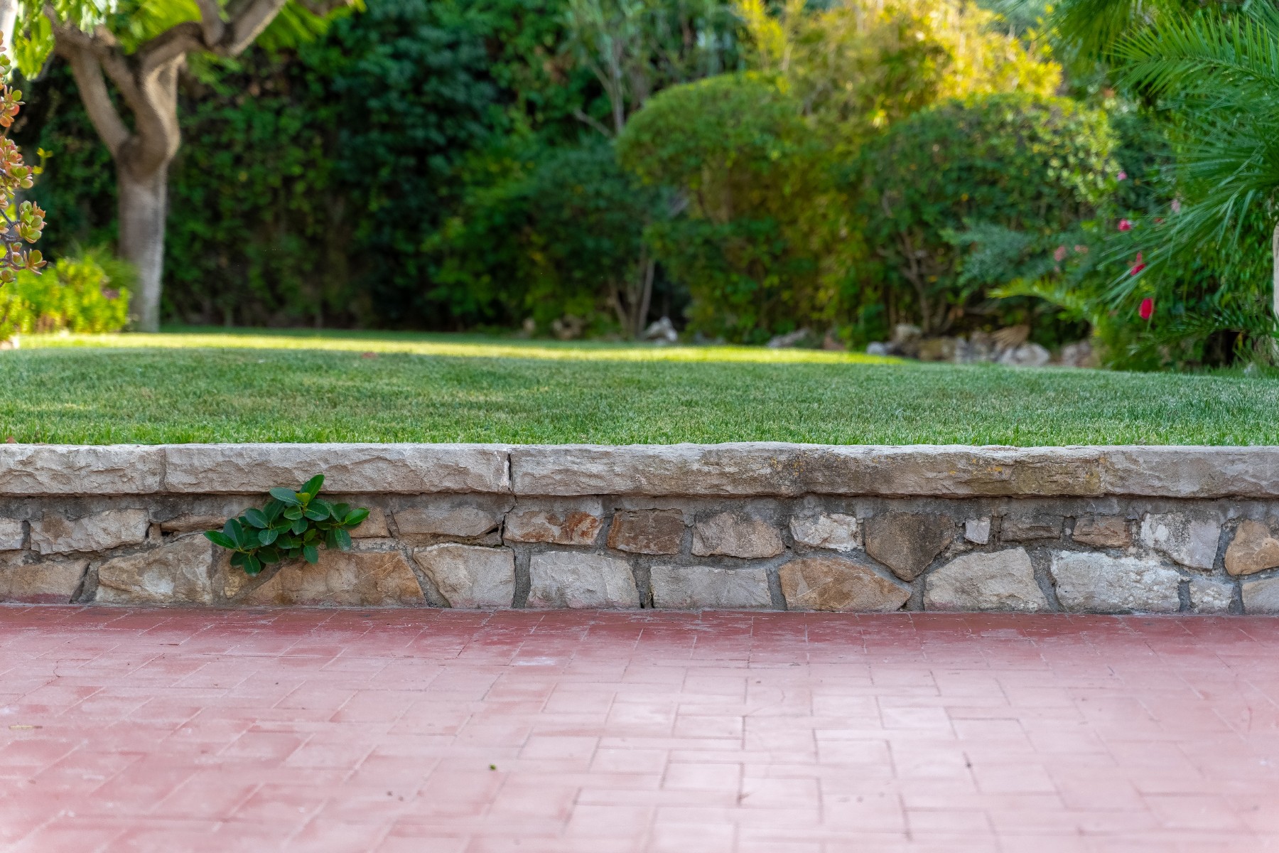 8 Bed, 4 Bath, HouseFor Sale, Alicante, Alicante