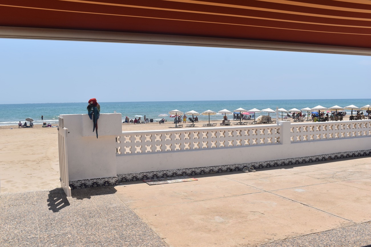 6 Bed, 3 Bath, HouseFor Sale, Guardamar Del Segura, Alicante