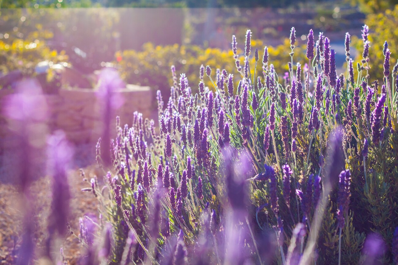 8 Bed, 8 Bath, HouseFor Sale, Benissa, Alicante