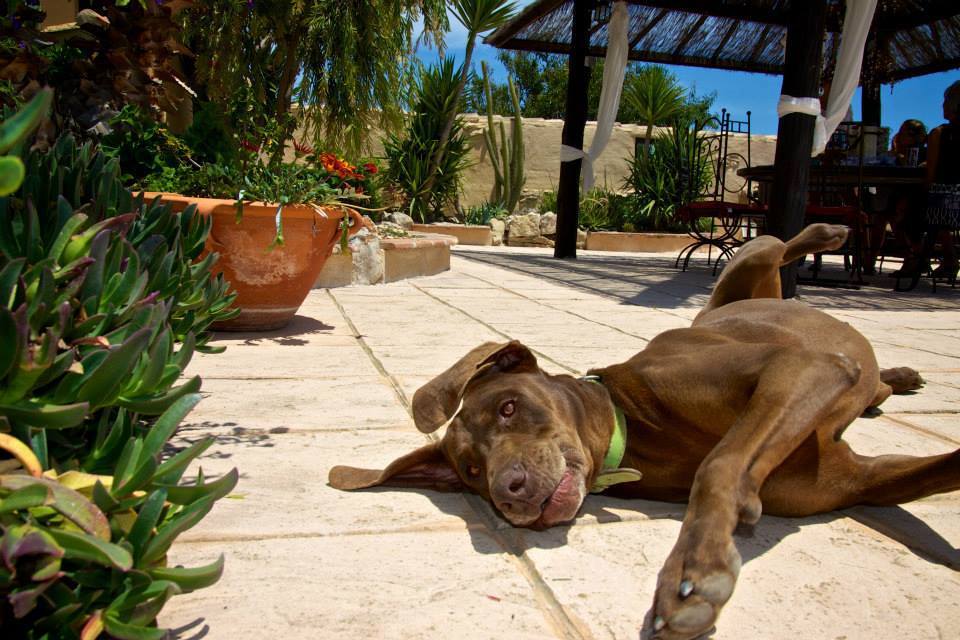 8 Bed, 8 Bath, HouseFor Sale, Benissa, Alicante