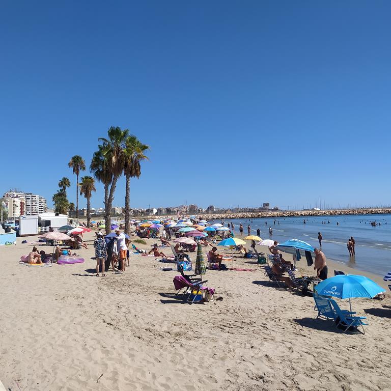 1 Bed, 1 Bath, ApartmentFor Sale, Torrevieja, Alicante