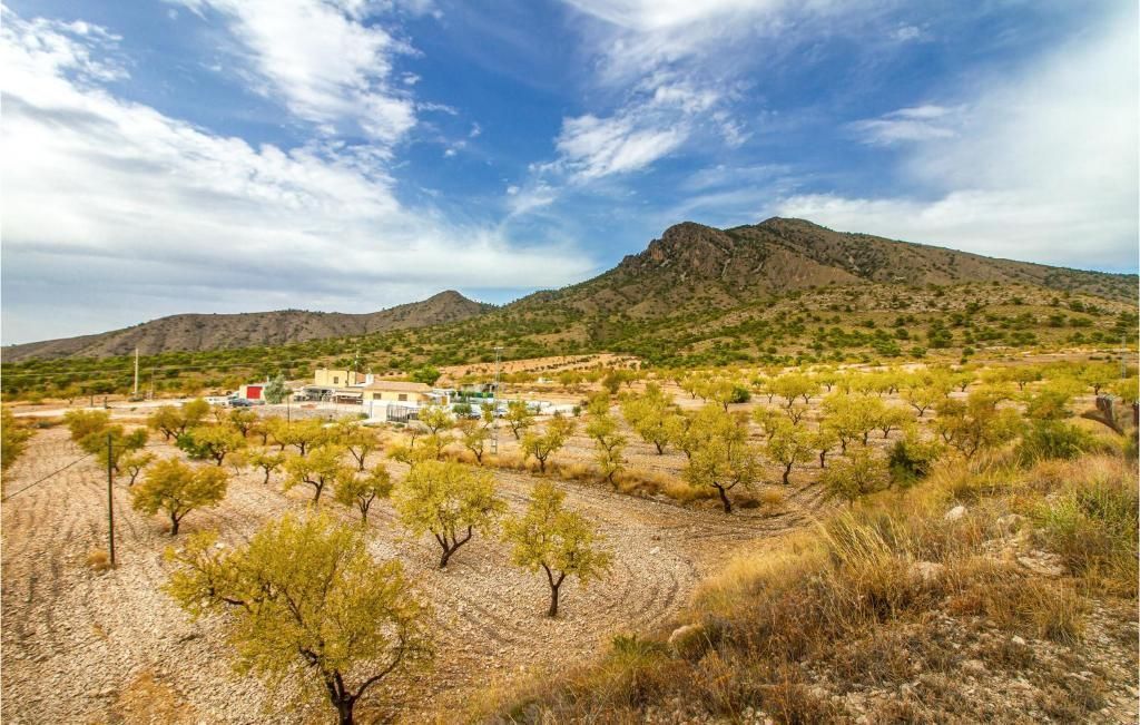 8 Bed, 4 Bath, HouseFor Sale, Jumilla, Murcia