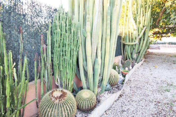 5 Bed, 2 Bath, HouseFor Sale, Almoradi, Alicante