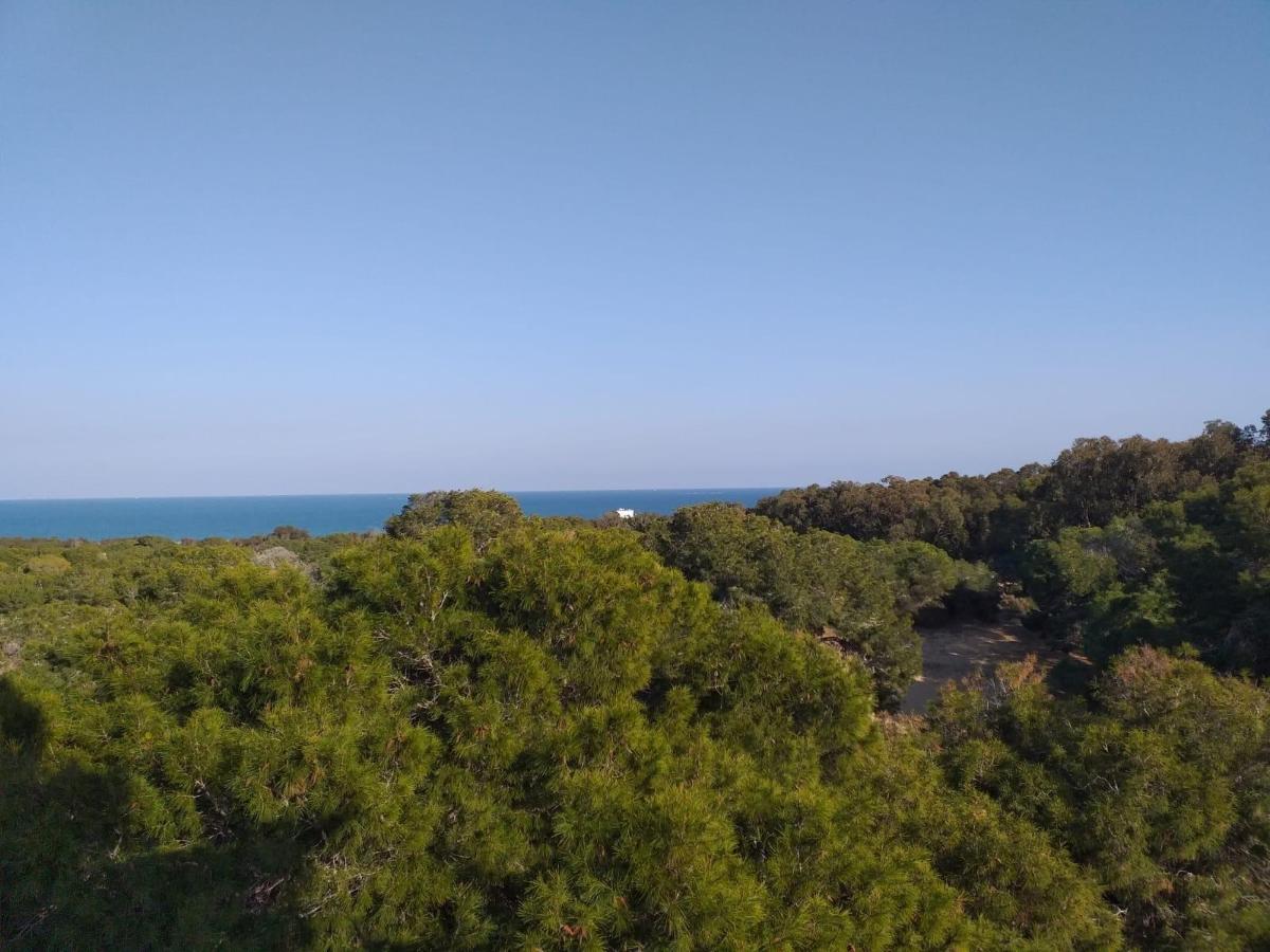 3 Bed, 2 Bath, ApartmentFor Sale, Guardamar Del Segura, Costa Blanca