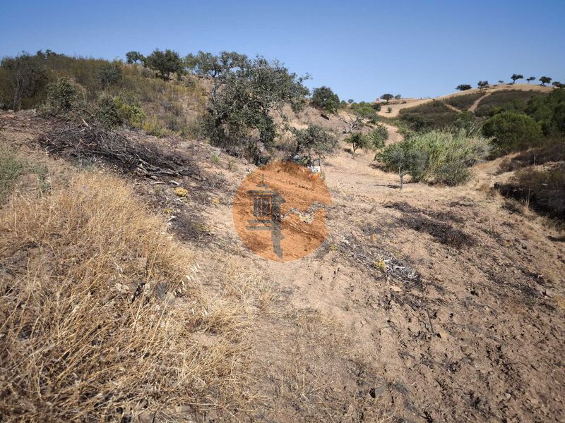 Land, For Sale