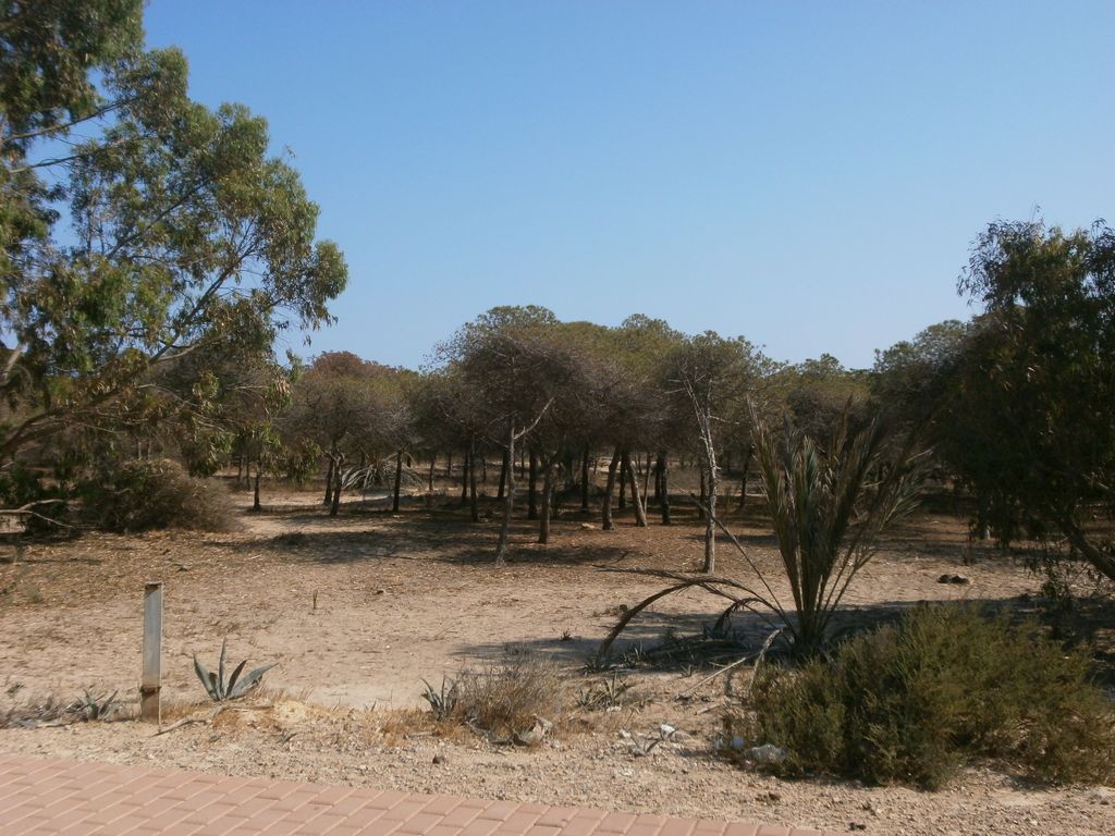 2 Bed, 2 Bath, ApartmentFor Sale, Guardamar, Alicante