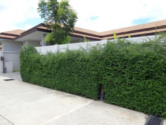 2 Bed, 2 Bath, HouseFor Sale, 19/10 Moo 6, Tambol Cherngtalay, Amphur Thalang, Phuket, Layan, North