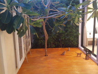 2 Bed, 2 Bath, ApartmentFor Sale, Phuket, NaiHarn, South