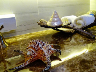 1 Bed, 1 Bath, ApartmentFor Sale, Phuket, Kamala, West