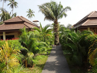 1 Bed, 1 Bath, HouseFor Sale, 76/150 Soi Khlokmakham Rawai Phuket 83130, Phuket, NaiHarn, South