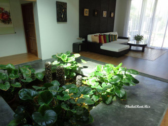 3 Bed, 3 Bath, HouseFor Sale, 24/28 Moo 1, T.Rawai, A.Muang, Phuket, 83130, Tha, Phuket, NaiHarn, South