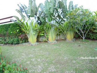 3 Bed, 3 Bath, HouseFor Sale, Phuket, NaiHarn, South