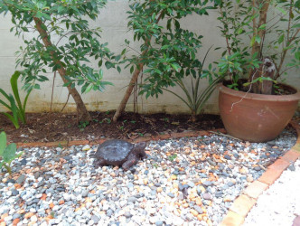 2 Bed, 2 Bath, HouseFor Sale, Phuket, NaiHarn, South