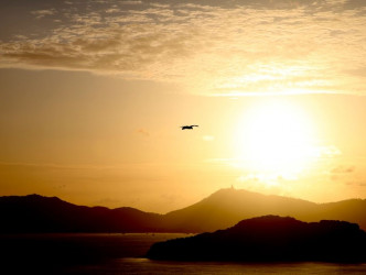 5 Bed, 8 Bath, HouseFor Sale, 88 Moo 8 Sakdidej Rd., Tambon Vichit, Phuket 83000, Phuket, PointPanwa, SouthEast