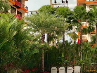 1 Bed, 1 Bath, ApartmentFor Sale, Phuket, NaiHarn, South