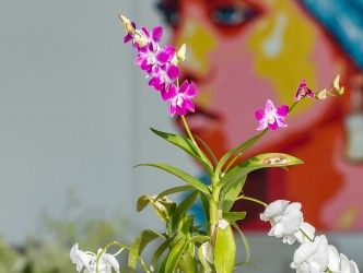 4 Bed, 4 Bath, HouseFor Sale, Phuket, Thalang, North