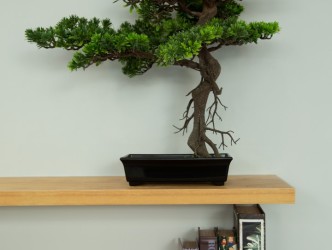 3 Bed, 3 Bath, HouseFor Sale, Phuket, Laguna, NorthWest