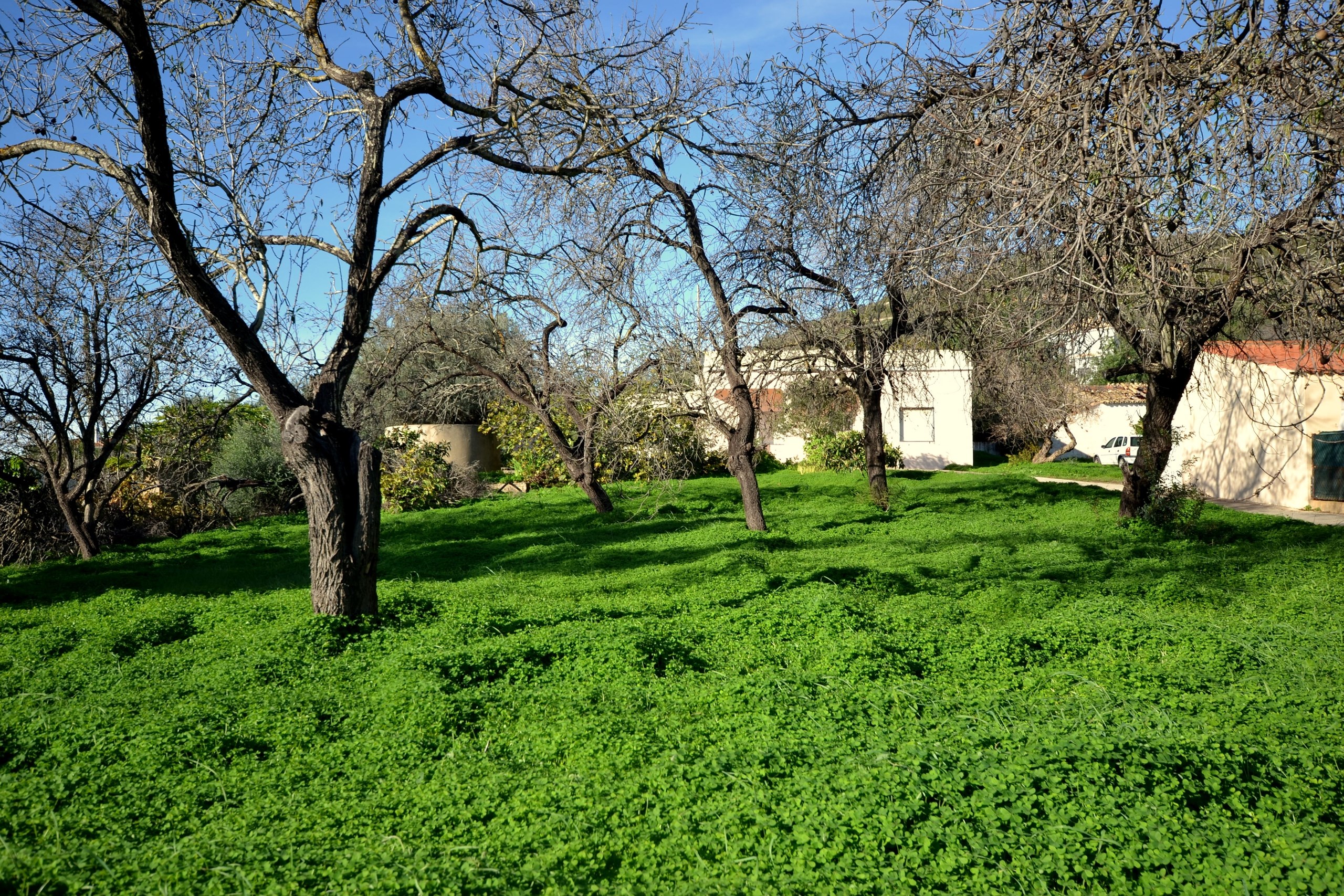 4 Bed, 2 Bath, HouseFor Sale, Loulé, Faro, 8100-289