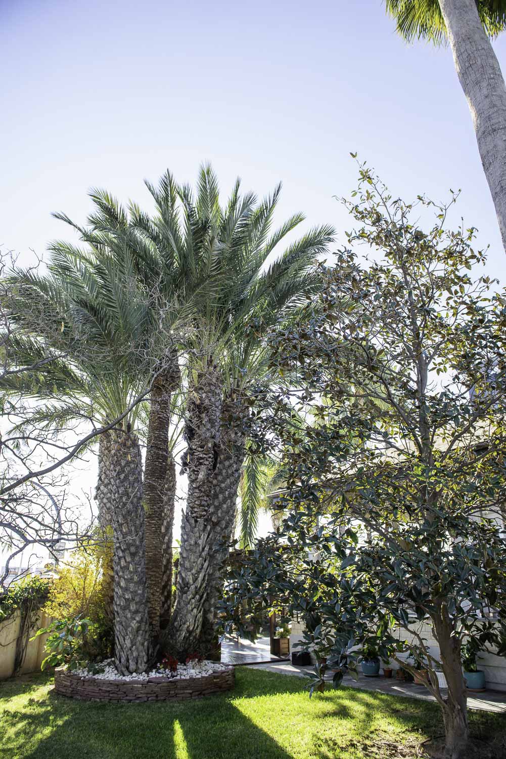 5 Bed, 6 Bath, HouseFor Sale, San Pedro Del Pinatar, Murcia