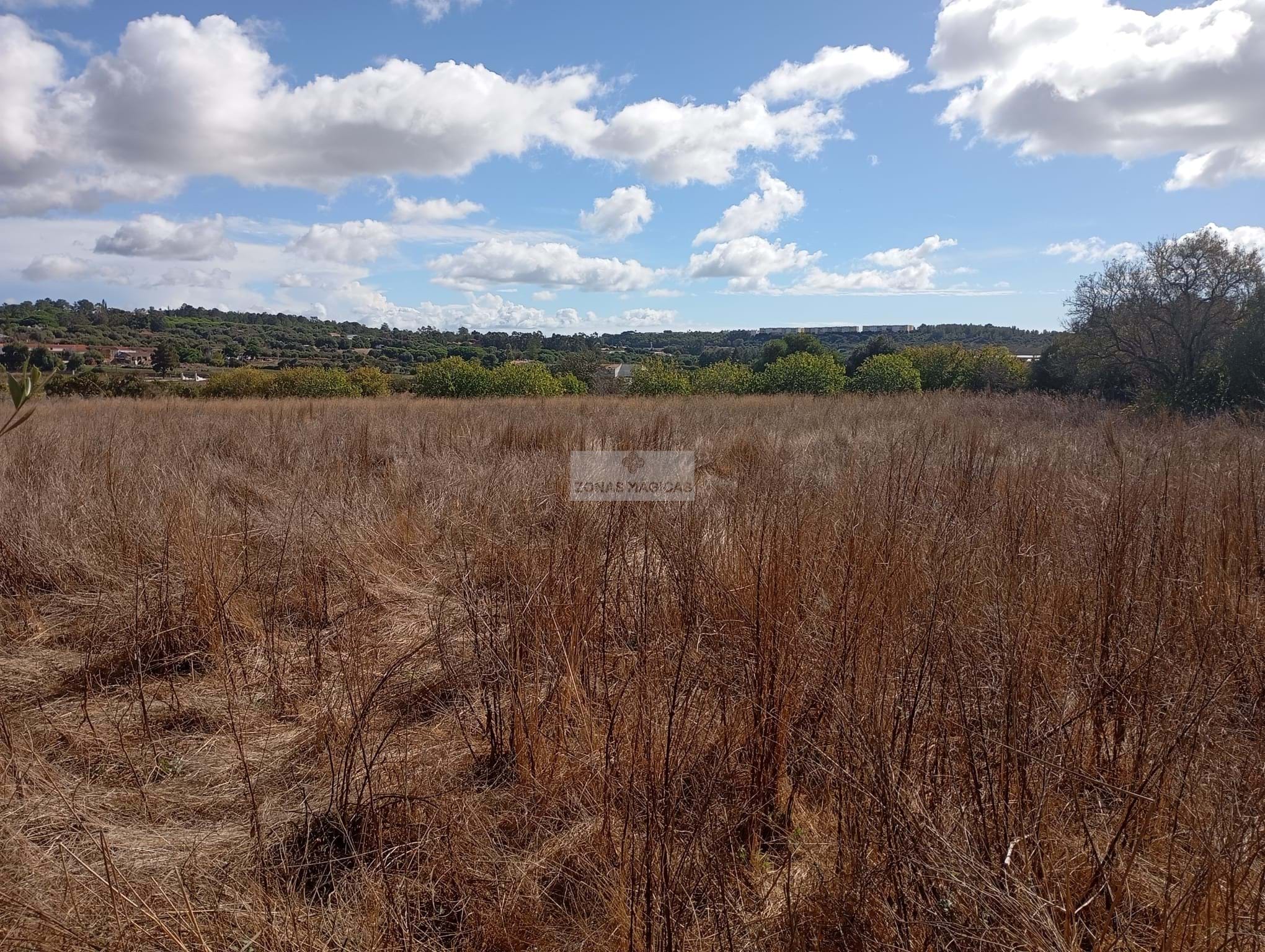 Land, For Sale