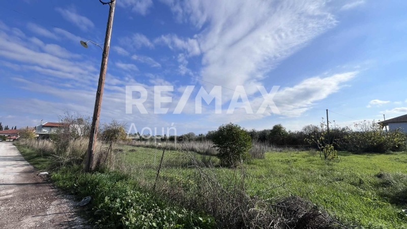 Land, For Sale